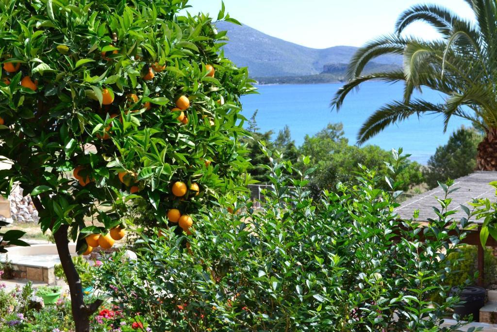 Appartement Iliopetro à Monemvasia Extérieur photo